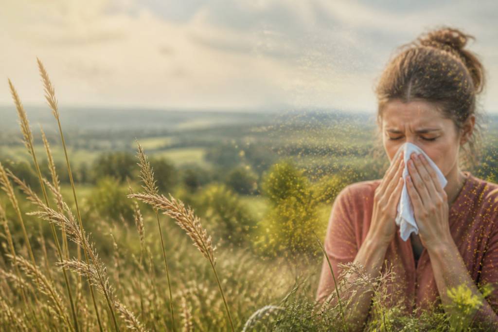 Carte pollen graminées : comprendre les pics et mieux s’y préparer